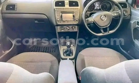 اشتري مستعمل Volkswagen Polo Red سيارة في Maseru في Maseru اشتري مستعمل Volkswagen Polo Red سيارة في Maseru في Maseru