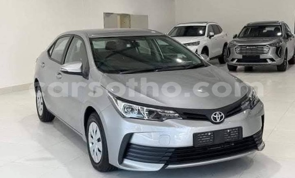 Buy Used Toyota Corolla Silver Car in Maseru in Maseru Buy Used Toyota Corolla Silver Car in Maseru in Maseru
