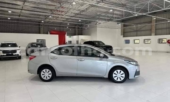 Buy Used Toyota Corolla Silver Car in Maseru in Maseru Buy Used Toyota Corolla Silver Car in Maseru in Maseru