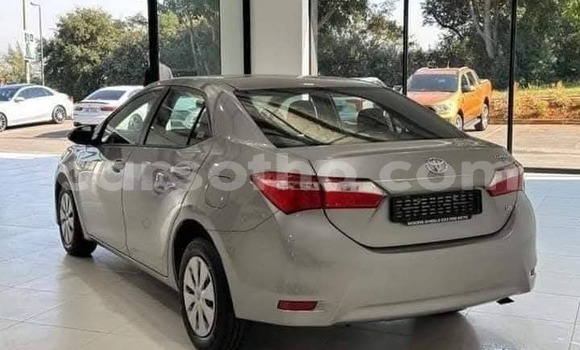 Buy Used Toyota Corolla Silver Car in Maseru in Maseru Buy Used Toyota Corolla Silver Car in Maseru in Maseru