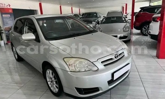 Sayi Na hannu Toyota Runx Silver Mota in Maseru a Maseru Sayi Na hannu Toyota Runx Silver Mota in Maseru a Maseru