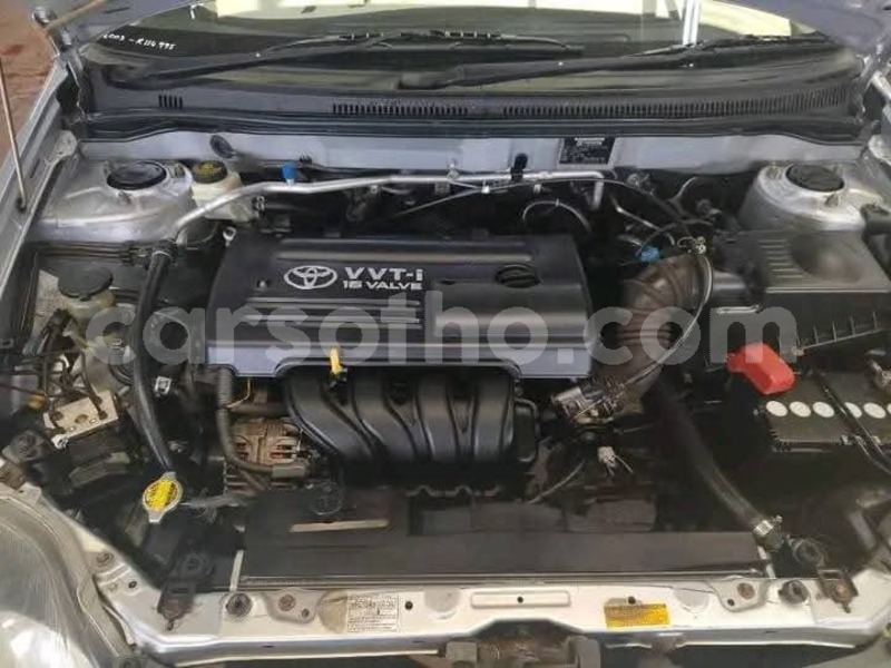 Big with watermark toyota runx maseru maseru 30537