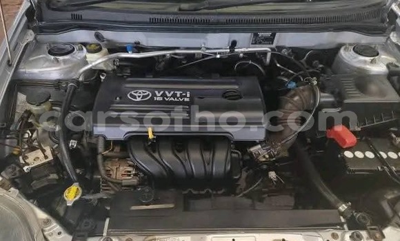 Buy Used Toyota Runx Silver Car in Maseru in Maseru Buy Used Toyota Runx Silver Car in Maseru in Maseru