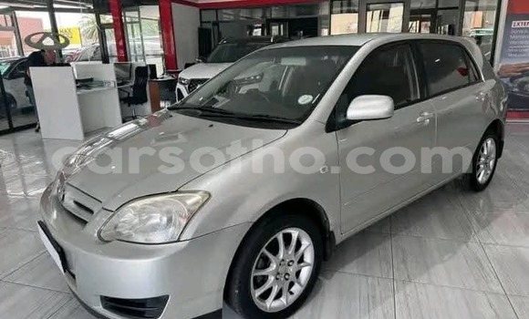 Buy Used Toyota Runx Silver Car in Maseru in Maseru Buy Used Toyota Runx Silver Car in Maseru in Maseru