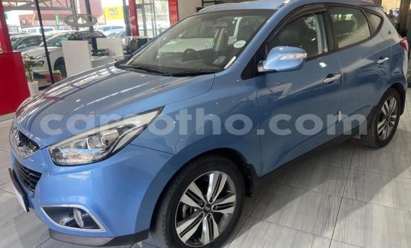 Buy Used Hyundai ix35 Blue Car in Maseru in Maseru Buy Used Hyundai ix35 Blue Car in Maseru in Maseru