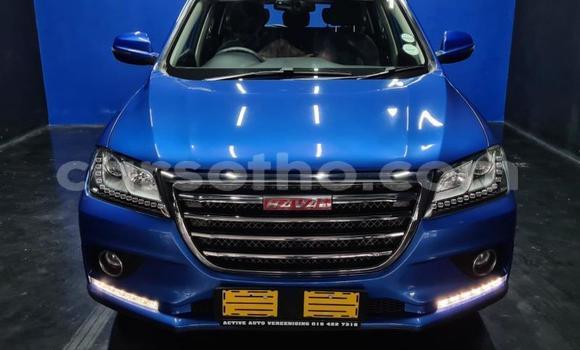 Buy Used Haval H2 Blue Car in Maseru in Maseru Buy Used Haval H2 Blue Car in Maseru in Maseru