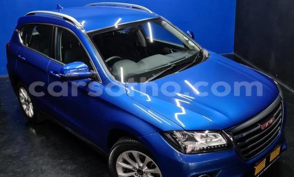 Buy Used Haval H2 Blue Car in Maseru in Maseru Buy Used Haval H2 Blue Car in Maseru in Maseru