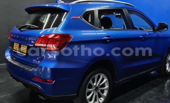 Buy Used Haval H2 Blue Car in Maseru in Maseru Buy Used Haval H2 Blue Car in Maseru in Maseru