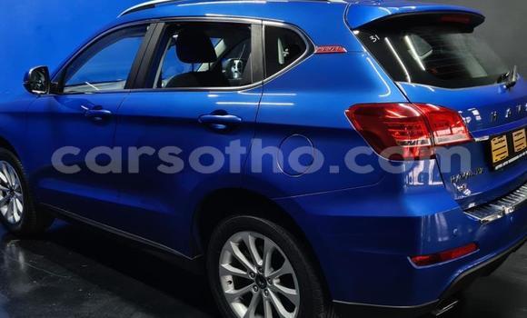 Buy Used Haval H2 Blue Car in Maseru in Maseru Buy Used Haval H2 Blue Car in Maseru in Maseru
