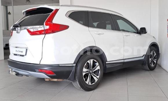 Buy Used Honda CR–V White Car in Maseru in Maseru Buy Used Honda CR–V White Car in Maseru in Maseru