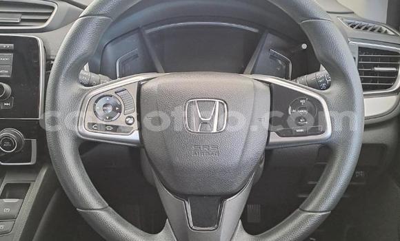 Buy Used Honda CR–V White Car in Maseru in Maseru Buy Used Honda CR–V White Car in Maseru in Maseru
