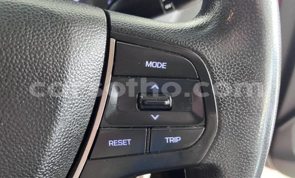 Buy Used Hyundai i20 Red Car in Maseru in Maseru Buy Used Hyundai i20 Red Car in Maseru in Maseru