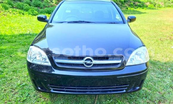 Buy Used Opel Corsa Black Car in Maseru in Maseru Buy Used Opel Corsa Black Car in Maseru in Maseru