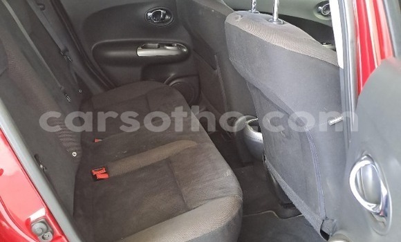 Buy Used Nissan Juke Red Car in Maseru in Maseru Buy Used Nissan Juke Red Car in Maseru in Maseru