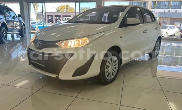 Buy Used Toyota Yaris White Car in Maseru in Maseru Buy Used Toyota Yaris White Car in Maseru in Maseru