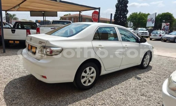 Buy Used Toyota Corolla White Car in Maseru in Maseru Buy Used Toyota Corolla White Car in Maseru in Maseru