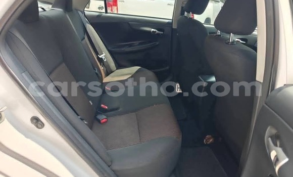 Buy Used Toyota Corolla White Car in Maseru in Maseru Buy Used Toyota Corolla White Car in Maseru in Maseru