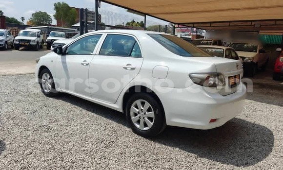 Buy Used Toyota Corolla White Car in Maseru in Maseru Buy Used Toyota Corolla White Car in Maseru in Maseru