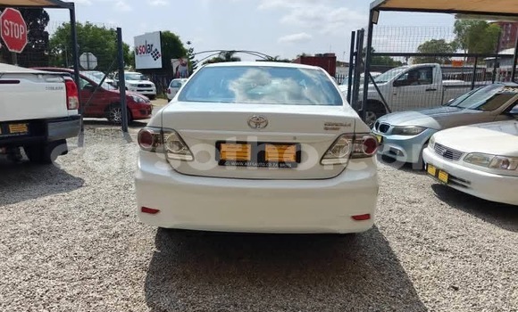 Buy Used Toyota Corolla White Car in Maseru in Maseru Buy Used Toyota Corolla White Car in Maseru in Maseru