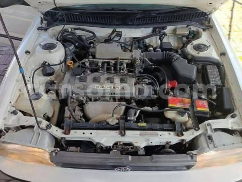 Big with watermark toyota corolla maseru maseru 30603