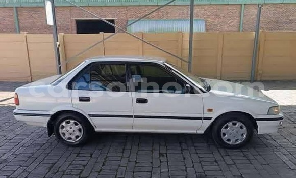 Buy Used Toyota Corolla White Car in Maseru in Maseru Buy Used Toyota Corolla White Car in Maseru in Maseru