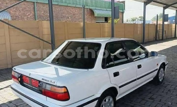Buy Used Toyota Corolla White Car in Maseru in Maseru Buy Used Toyota Corolla White Car in Maseru in Maseru