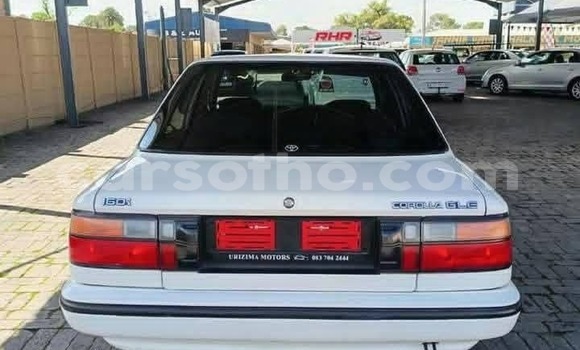 Buy Used Toyota Corolla White Car in Maseru in Maseru Buy Used Toyota Corolla White Car in Maseru in Maseru