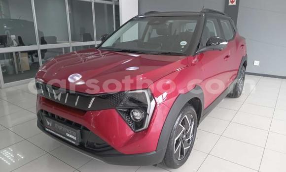Buy Used Mahindra Verito Red Car in Maseru in Maseru Buy Used Mahindra Verito Red Car in Maseru in Maseru