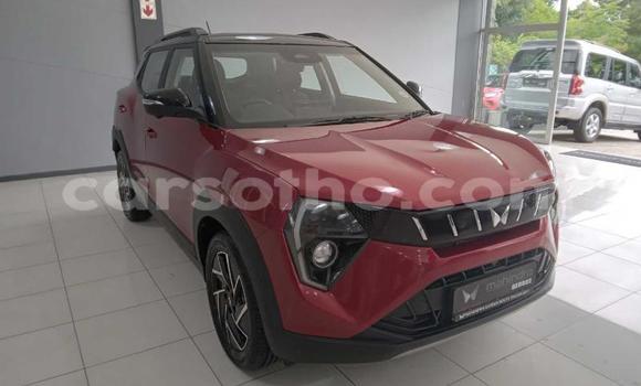 Buy Used Mahindra Verito Red Car in Maseru in Maseru Buy Used Mahindra Verito Red Car in Maseru in Maseru