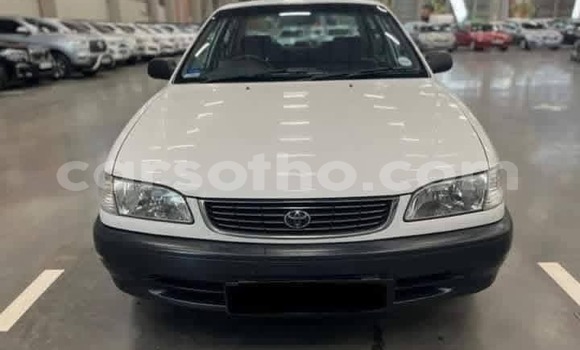 اشتري مستعمل Toyota Corolla White سيارة في Mokhotlong في Berea