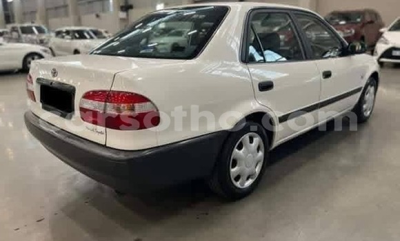 Buy Used Toyota Corolla White Car in Mokhotlong in Berea Buy Used Toyota Corolla White Car in Mokhotlong in Berea