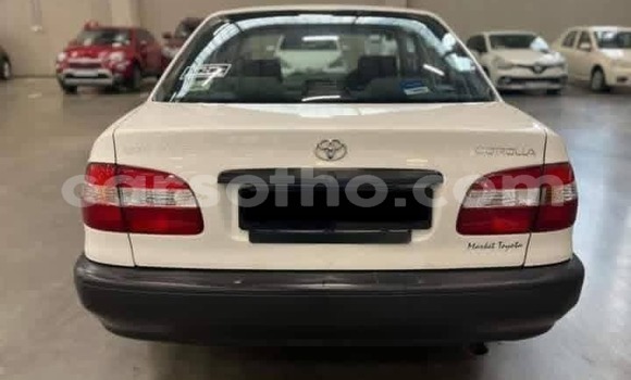 Buy Used Toyota Corolla White Car in Mokhotlong in Berea Buy Used Toyota Corolla White Car in Mokhotlong in Berea