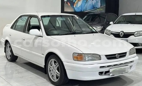 Acheter Occasion Voiture Toyota Corolla Blanc à Maseru, Maseru