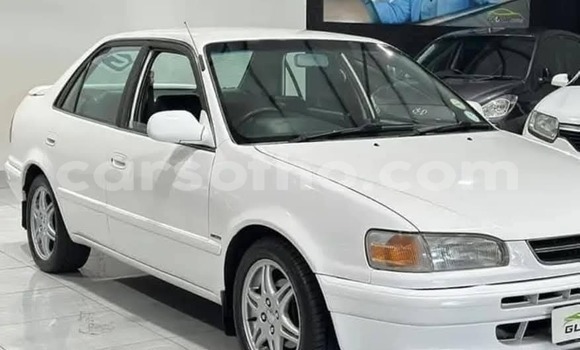 Buy Used Toyota Corolla White Car in Maseru in Maseru Buy Used Toyota Corolla White Car in Maseru in Maseru