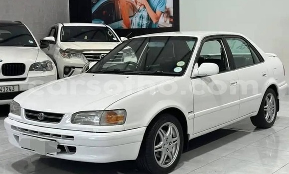 Buy Used Toyota Corolla White Car in Maseru in Maseru Buy Used Toyota Corolla White Car in Maseru in Maseru