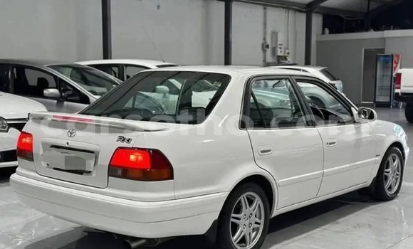 Buy Used Toyota Corolla White Car in Maseru in Maseru Buy Used Toyota Corolla White Car in Maseru in Maseru