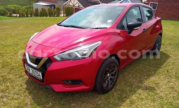 Buy Used Nissan Micra Red Car in Maseru in Maseru Buy Used Nissan Micra Red Car in Maseru in Maseru