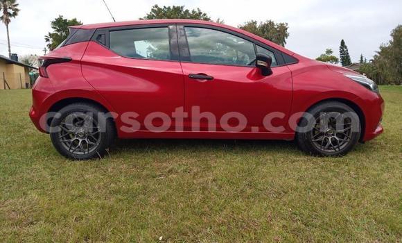 Buy Used Nissan Micra Red Car in Maseru in Maseru Buy Used Nissan Micra Red Car in Maseru in Maseru