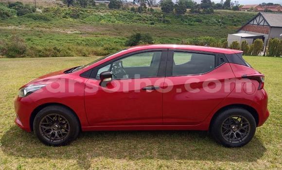 Buy Used Nissan Micra Red Car in Maseru in Maseru Buy Used Nissan Micra Red Car in Maseru in Maseru