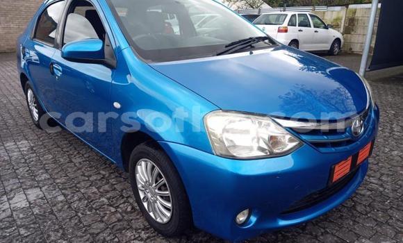Buy Used Toyota Etios Blue Car in Maseru in Maseru Buy Used Toyota Etios Blue Car in Maseru in Maseru