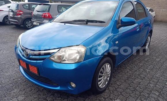 Buy Used Toyota Etios Blue Car in Maseru in Maseru Buy Used Toyota Etios Blue Car in Maseru in Maseru