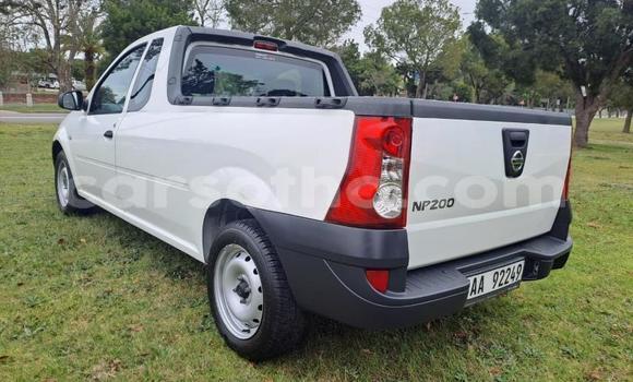 Buy Used Nissan NP 300 White Car in Maseru in Maseru Buy Used Nissan NP 300 White Car in Maseru in Maseru