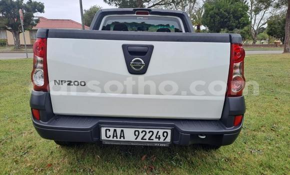 Buy Used Nissan NP 300 White Car in Maseru in Maseru Buy Used Nissan NP 300 White Car in Maseru in Maseru