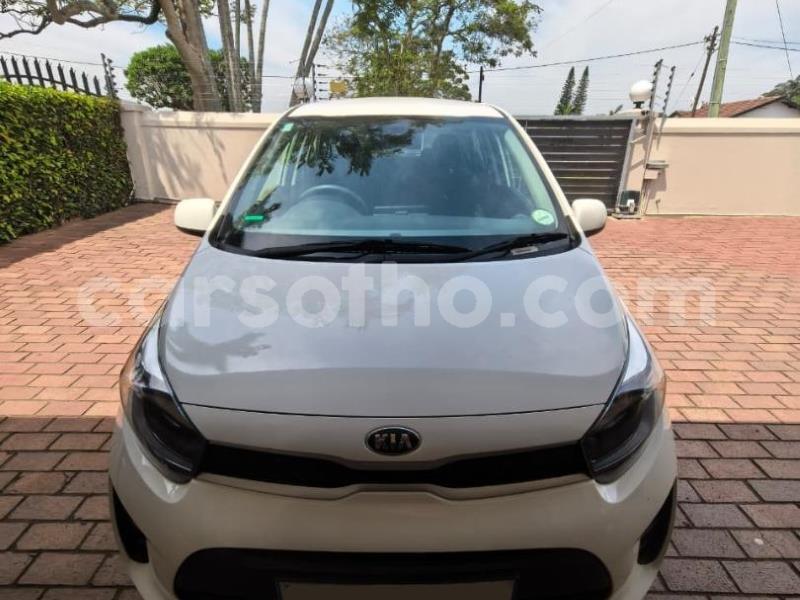 Big with watermark kia picanto maseru maseru 30635