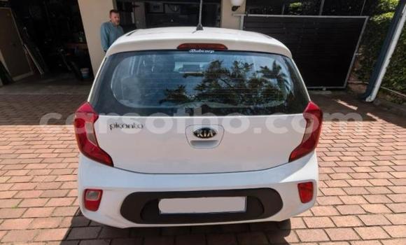 Buy Used Kia Picanto White Car in Maseru in Maseru Buy Used Kia Picanto White Car in Maseru in Maseru