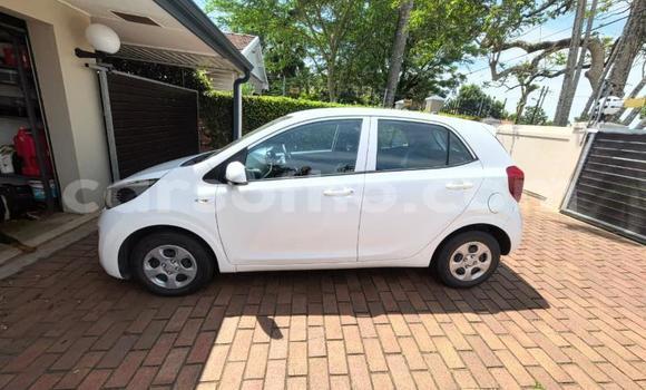Buy Used Kia Picanto White Car in Maseru in Maseru Buy Used Kia Picanto White Car in Maseru in Maseru