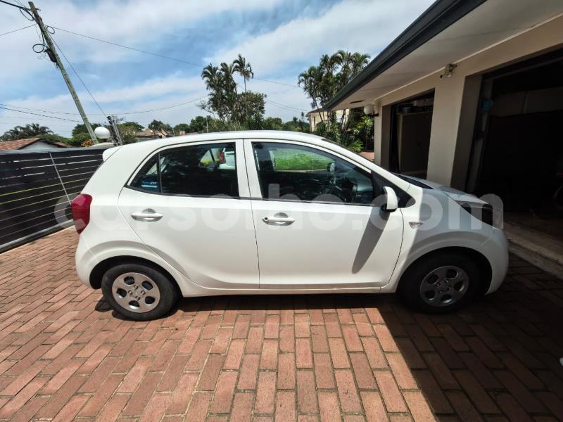 Big with watermark kia picanto maseru maseru 30635