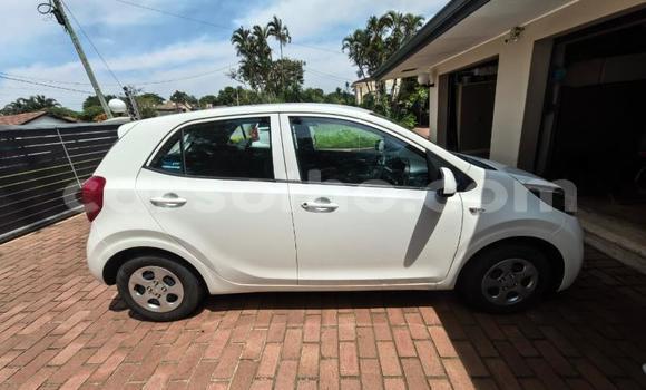 Buy Used Kia Picanto White Car in Maseru in Maseru Buy Used Kia Picanto White Car in Maseru in Maseru