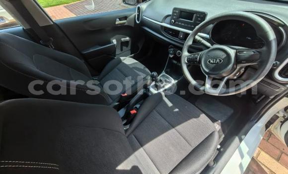 Buy Used Kia Picanto White Car in Maseru in Maseru Buy Used Kia Picanto White Car in Maseru in Maseru