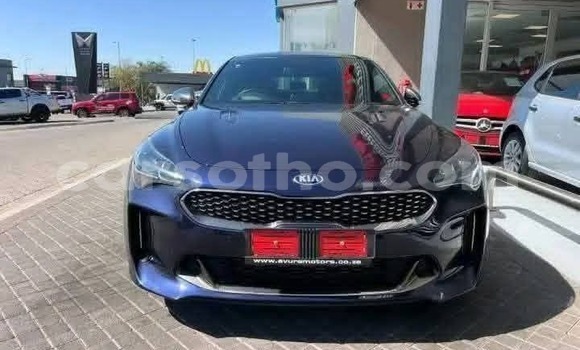 اشتري مستعمل Kia Stinger Other سيارة في Maseru في Maseru اشتري مستعمل Kia Stinger Other سيارة في Maseru في Maseru